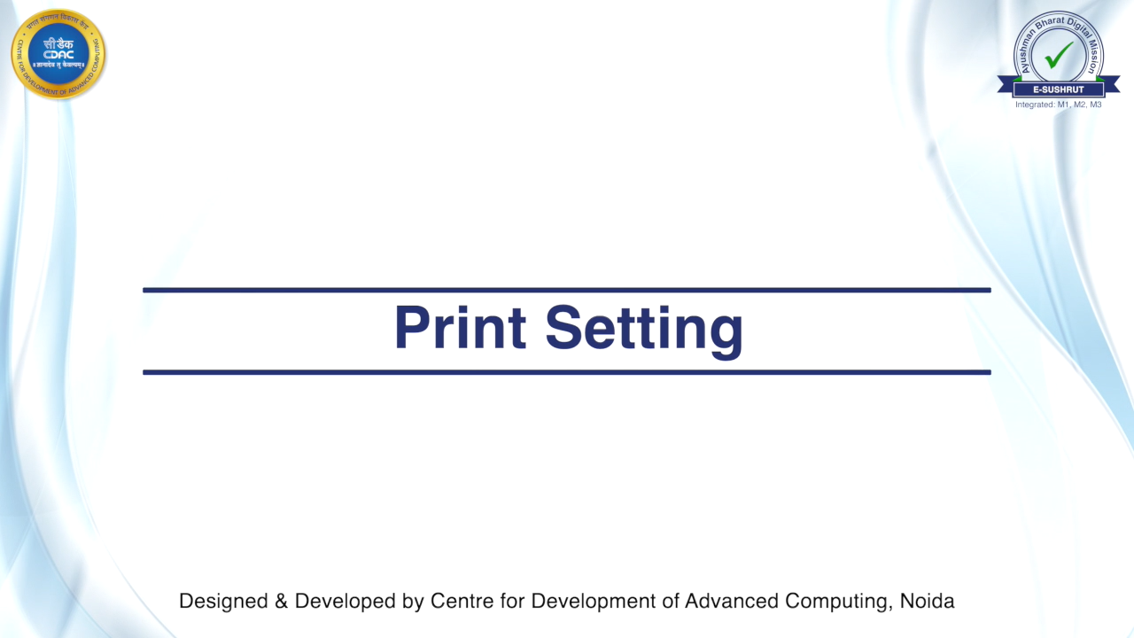 Print Setting